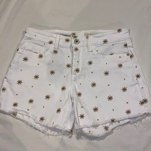 Pilcro and The Letterpress by Anthropologie shorts